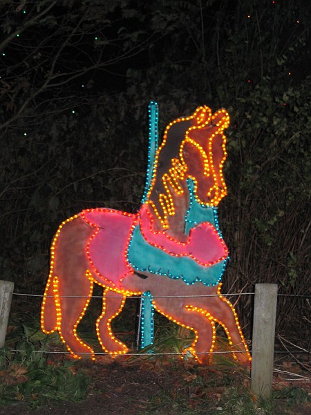 wildlights at zoo 013.jpg